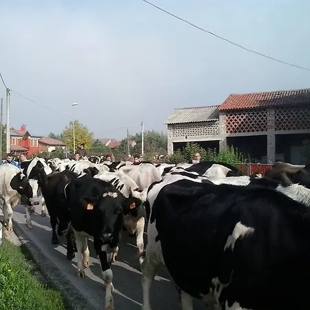 Farm stay La Prateria *