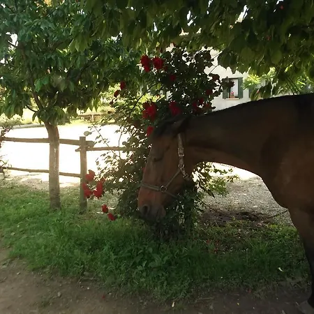 La Prateria Alojamento de Turismo Rural Gazzo (Veneto)